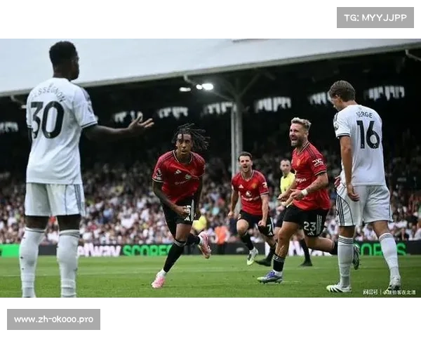 英超联赛的起伏与变化,从热刺的逆转到曼城的胜利 英超联赛的起伏与变化,从热刺的逆转到曼城的胜利